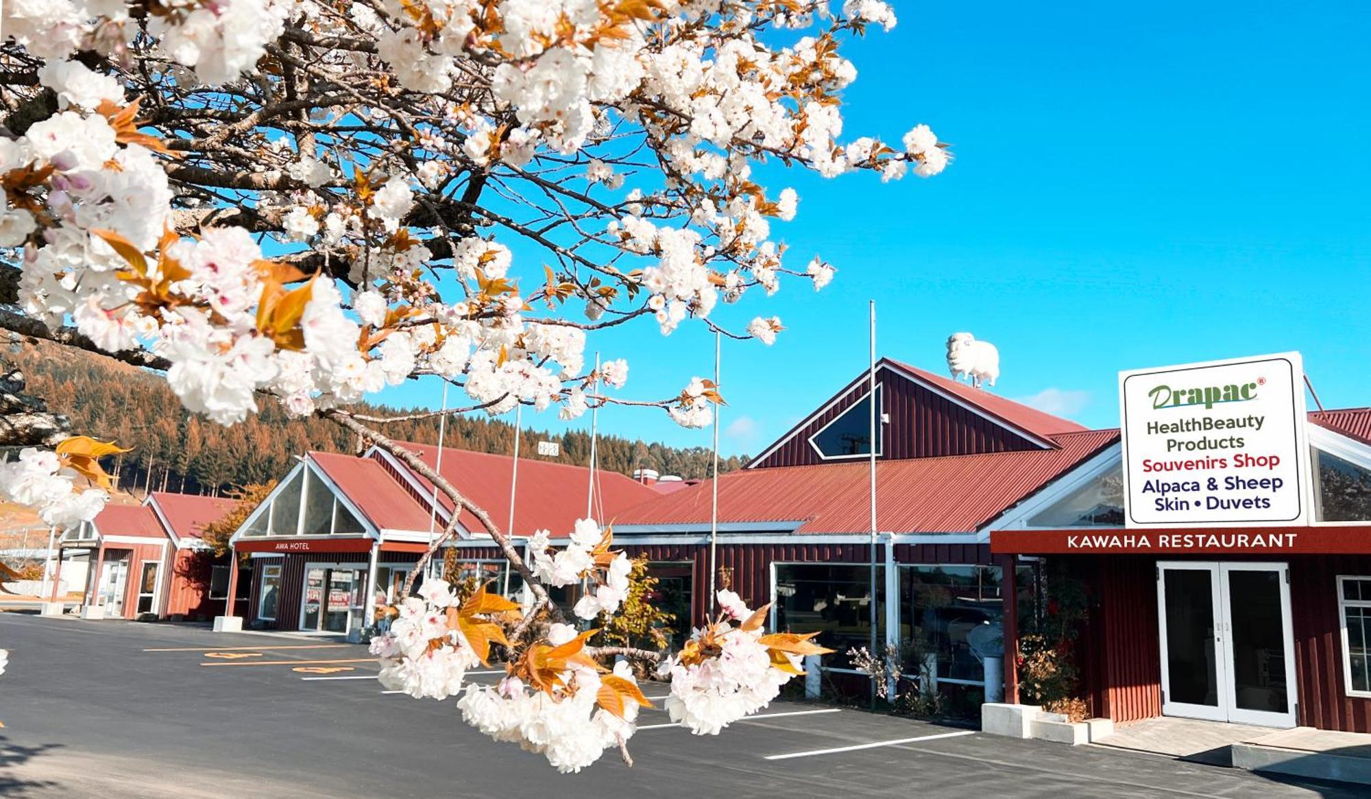 Awa Hotel Rotorua Exteriér fotografie